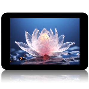 3.5inch-Capacitive-Touch-LCD-details-1